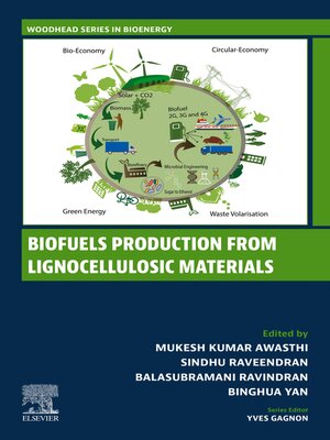 cover image of Biofuels Production from Lignocellulosic Materials